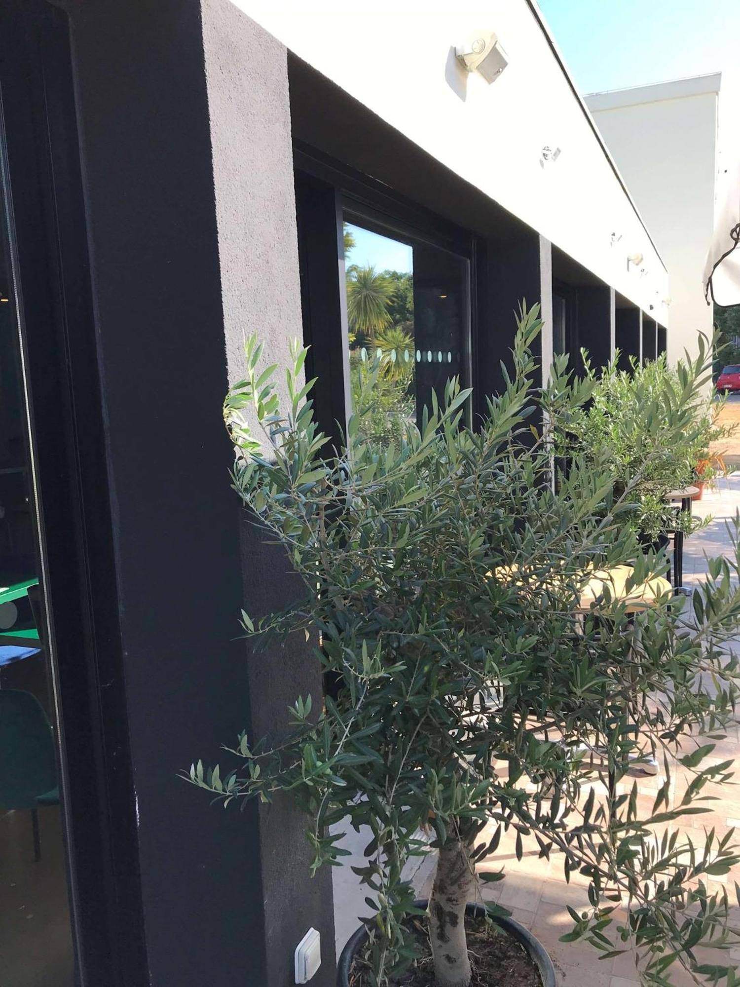 Brit Hotel Marseille Aeroport Mirabeau Eksteriør bilde